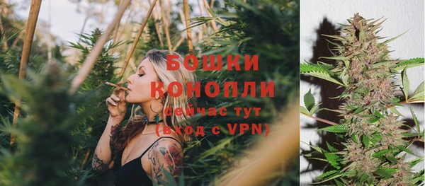 mdpv Белокуриха