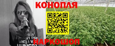 шишки Волгодонск