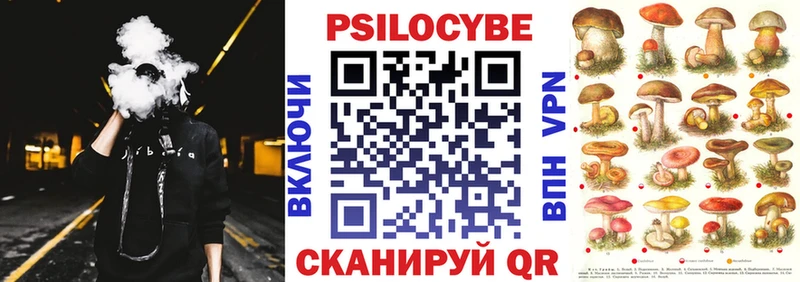 как найти закладки Гудермес Галлюциногенные грибы Cubensis