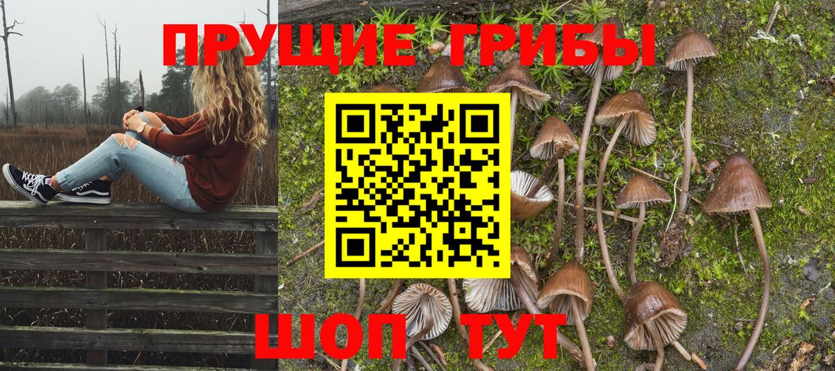 Псилоцибиновые грибы прущие грибы Гудермес