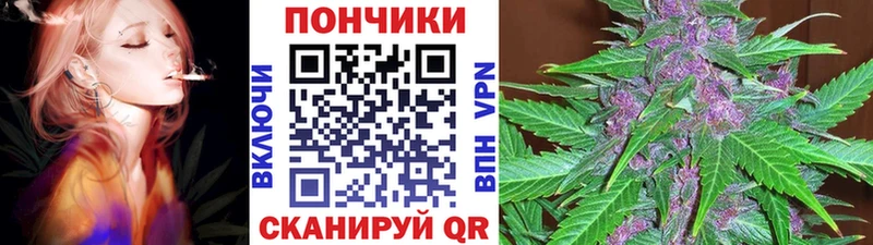 Каннабис SATIVA & INDICA  Гудермес 